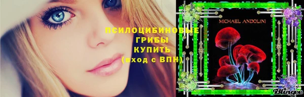 МДПВ Лиски