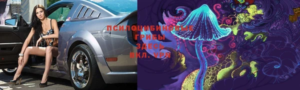 стаф Липки