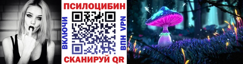 Галлюциногенные грибы Psilocybe  Волжский 